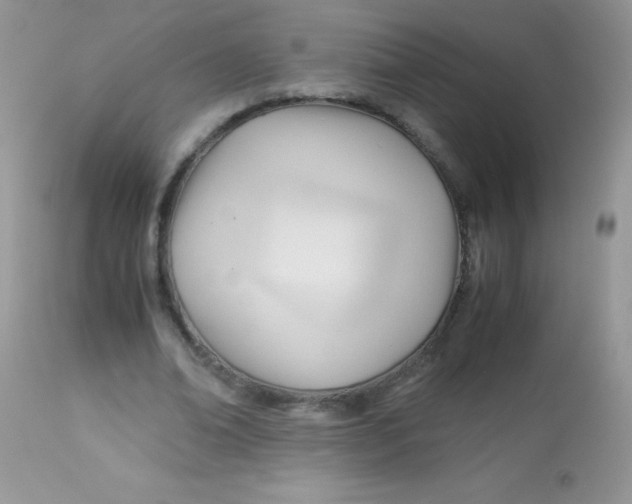 X0000113090678200909182114