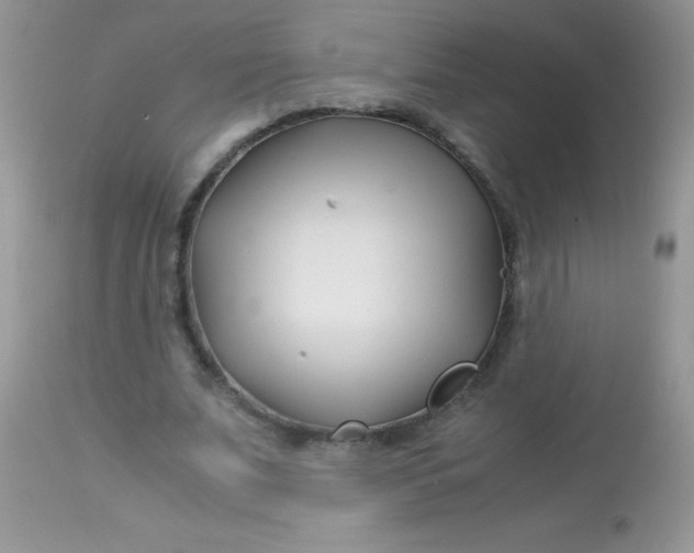 X0000113090679200909182114