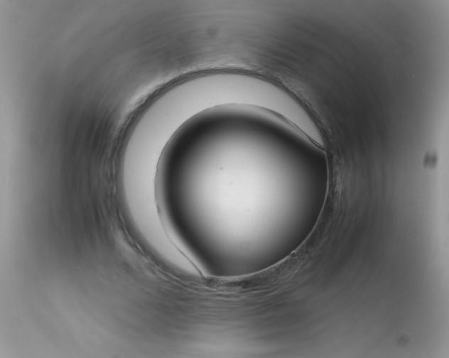 X0000113090680200909182114