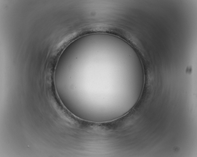 X0000113090681200909182114