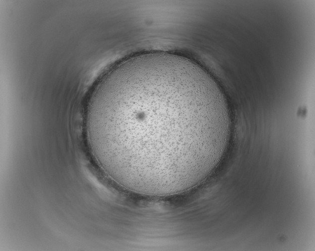 X0000113090683200909182114