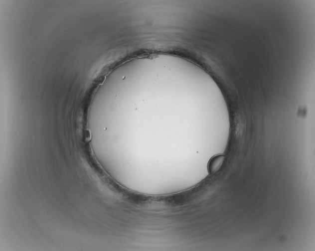 X0000113090685200909182114