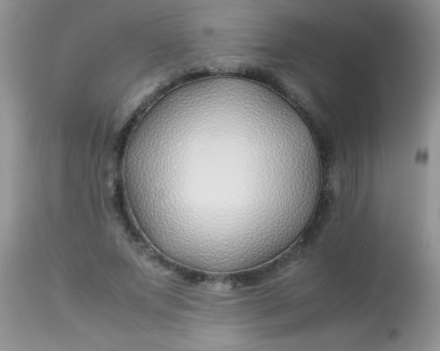 X0000113090687200909182114