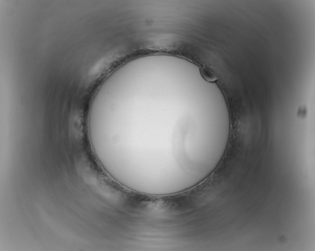 X0000113090688200909182114