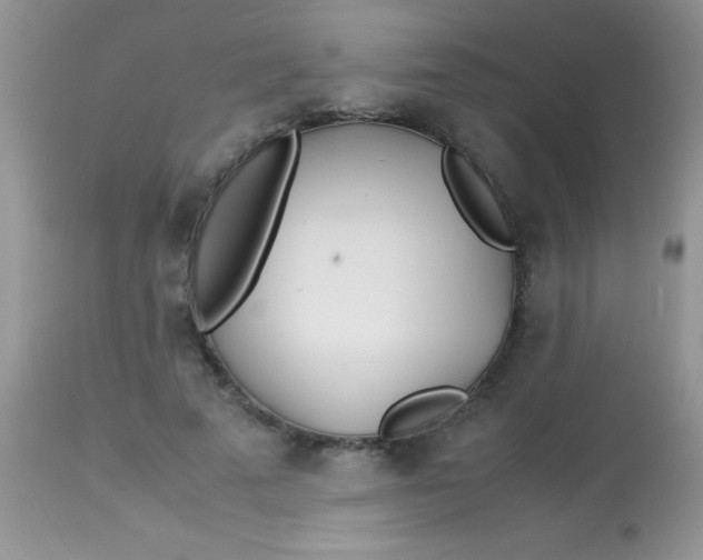 X0000113090689200909182114