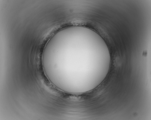 X0000113090690200909182114