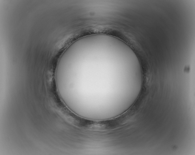 X0000113090691200909182114