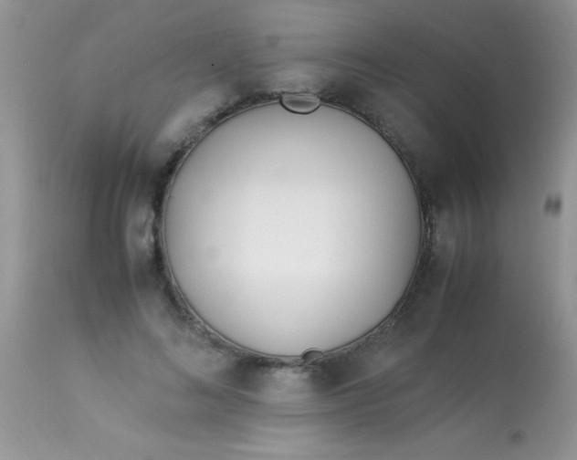 X0000113090692200909182114