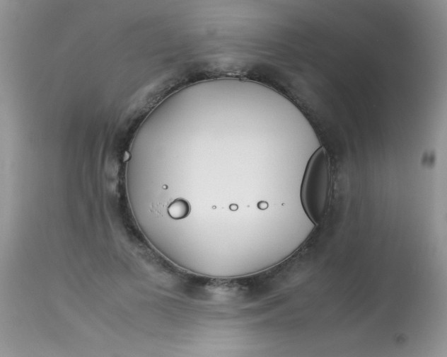 X0000113090693200909182114