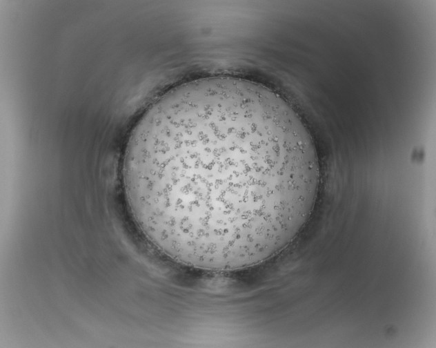 X0000113090695200909182114