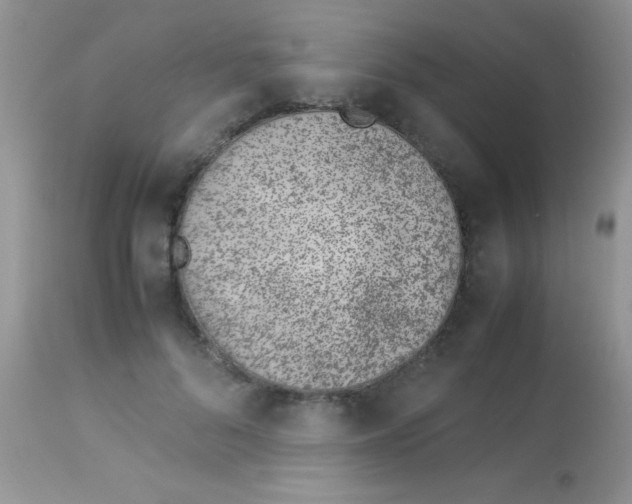 X0000113090696200909182114