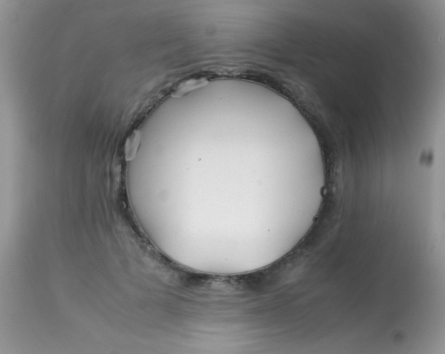 X0000113090697200909182114