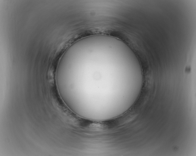 X0000113090699200909182114