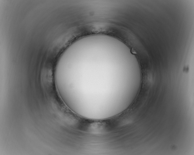 X0000113090700200909182114