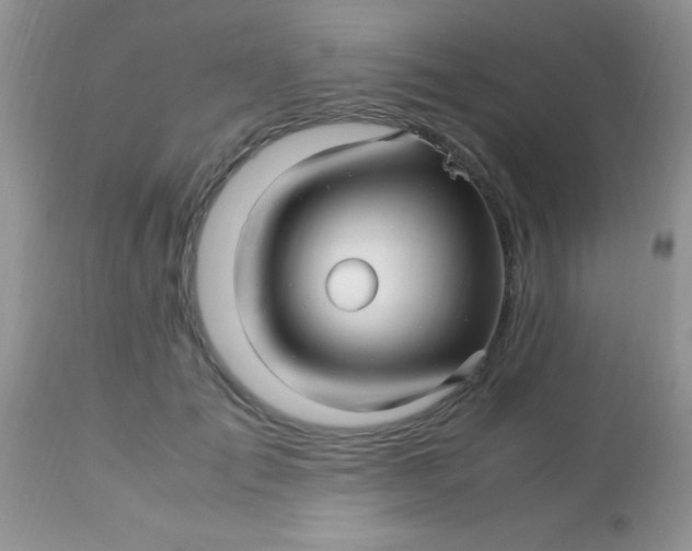 X0000113090701200909182114