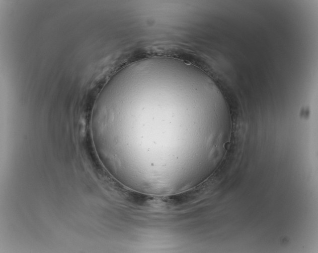 X0000113090703200909182114