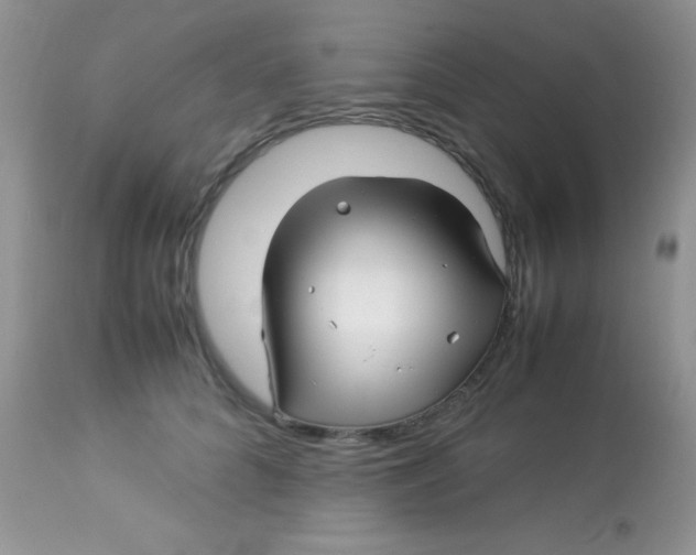 X0000113090704200909182114