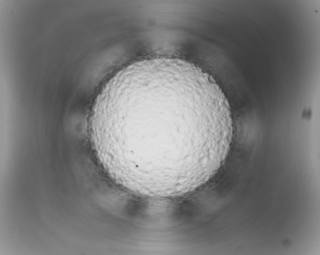 X0000113090705200909182114