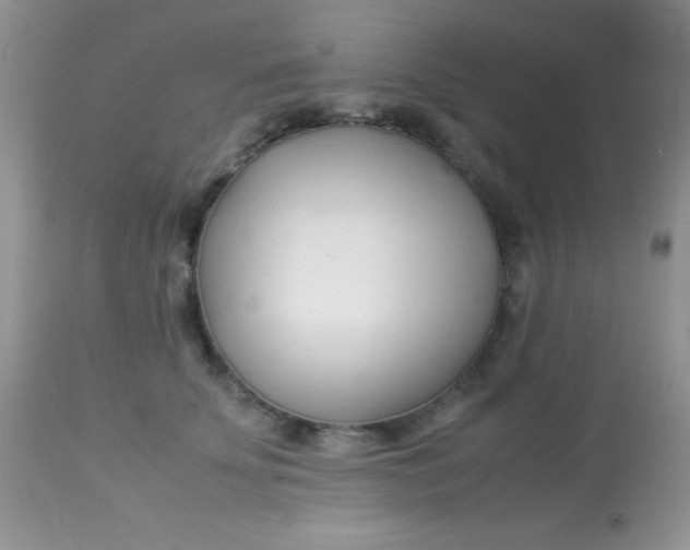 X0000113090707200909182114