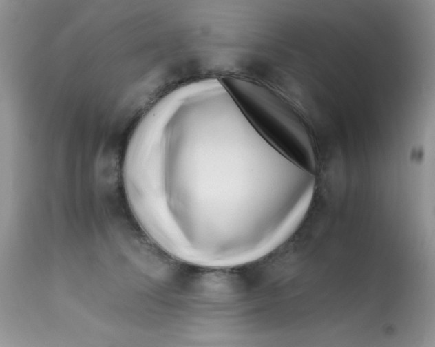 X0000113090708200909182114