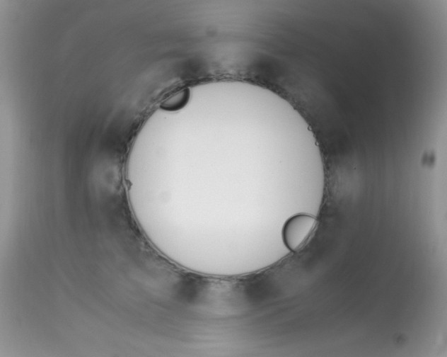 X0000113090709200909182114