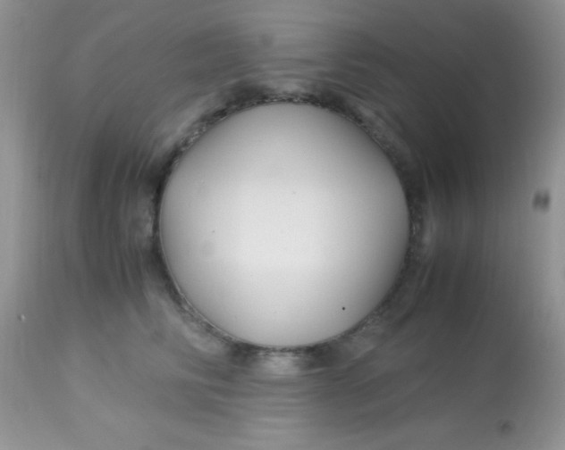 X0000113090710200909182113