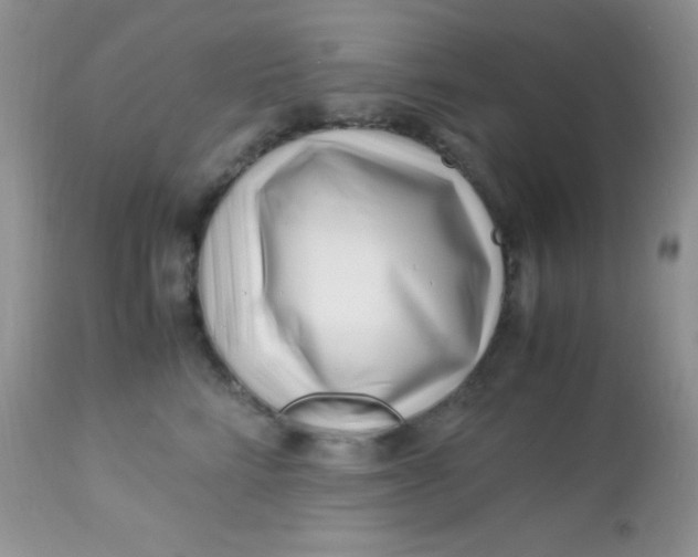 X0000113090712200909182113