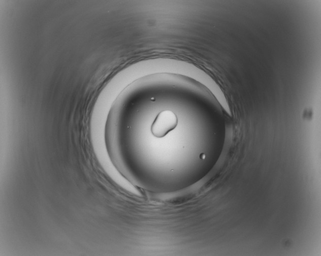 X0000113090713200909182113