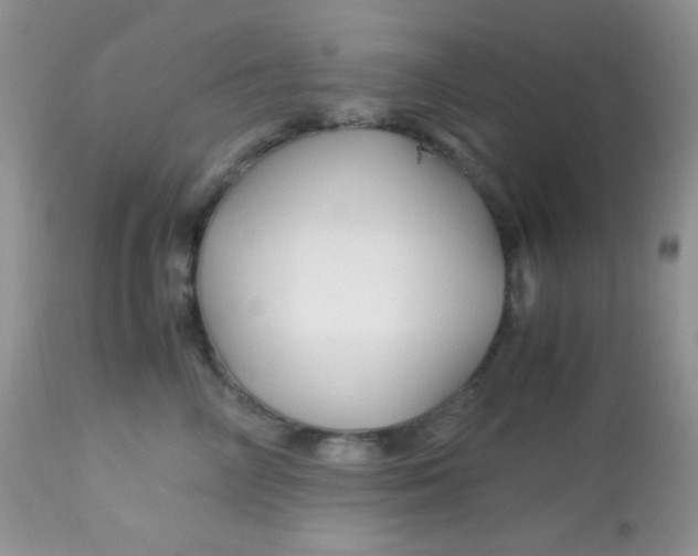 X0000113090714200909182113