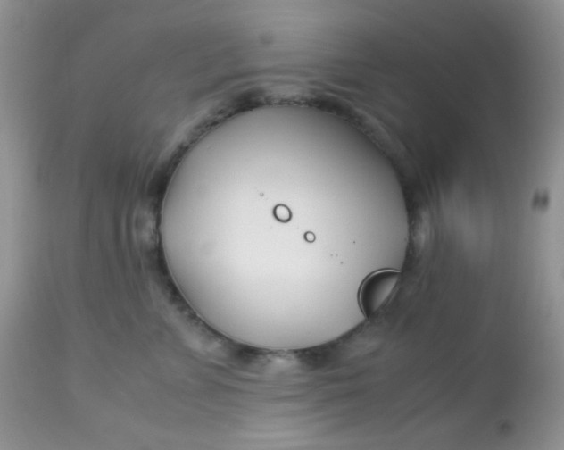 X0000113090715200909182113