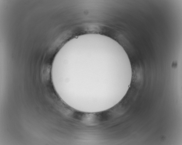 X0000113090717200909182113