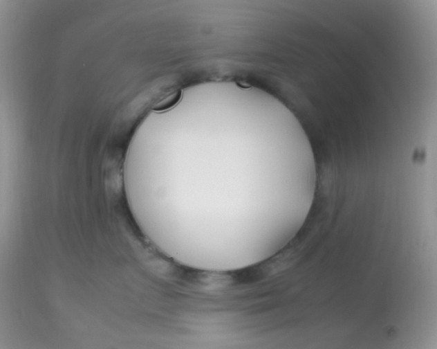 X0000113090719200909182113