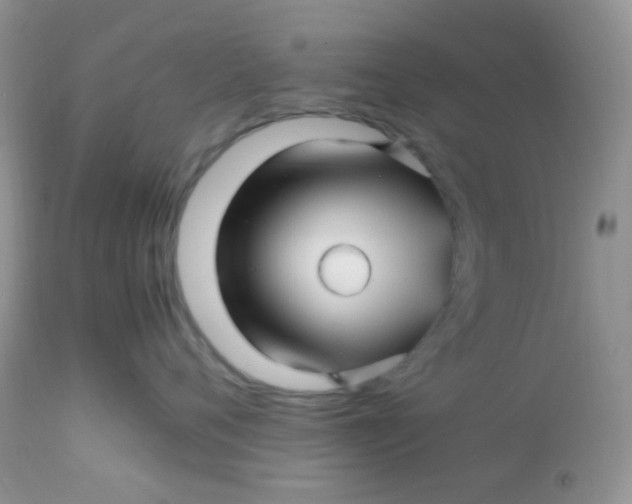 X0000113090720200909182113