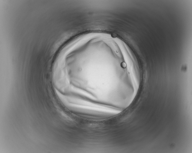 X0000113090721200909182113