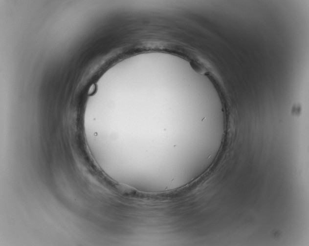 X0000113090722200909182113