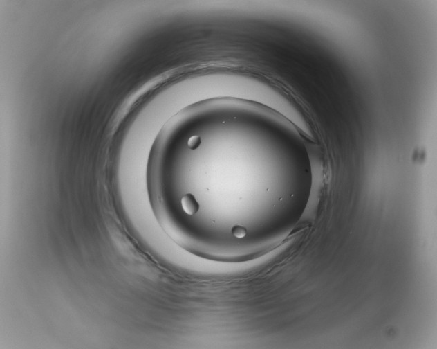 X0000113090724200909182113