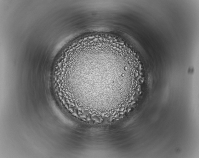 X0000113090725200909182113