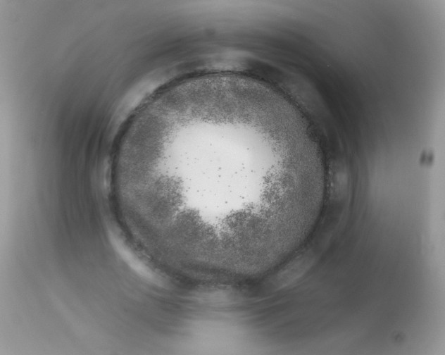 X0000113090726200909182113