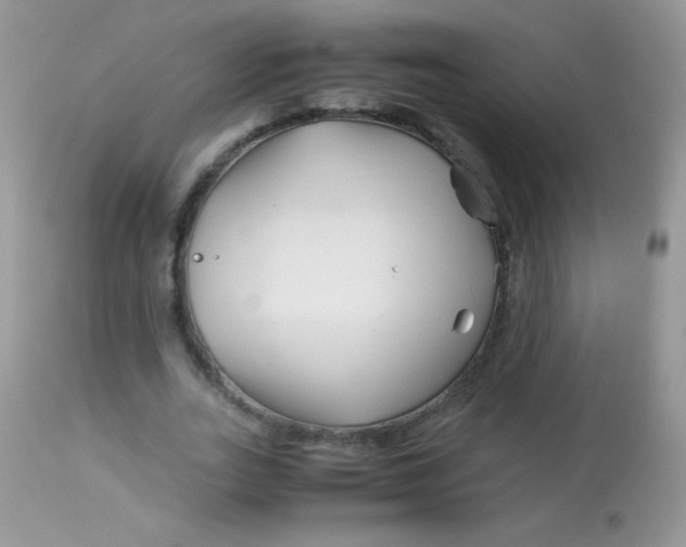 X0000113090727200909182113