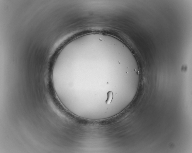 X0000113090728200909182113