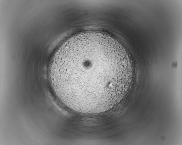 X0000113090729200909182113