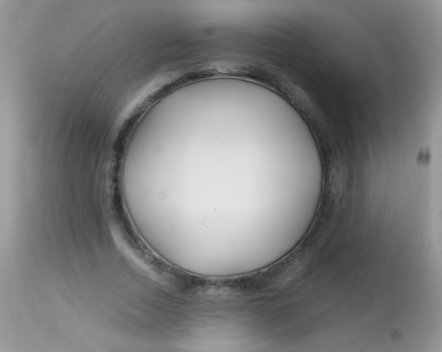 X0000113090730200909182113