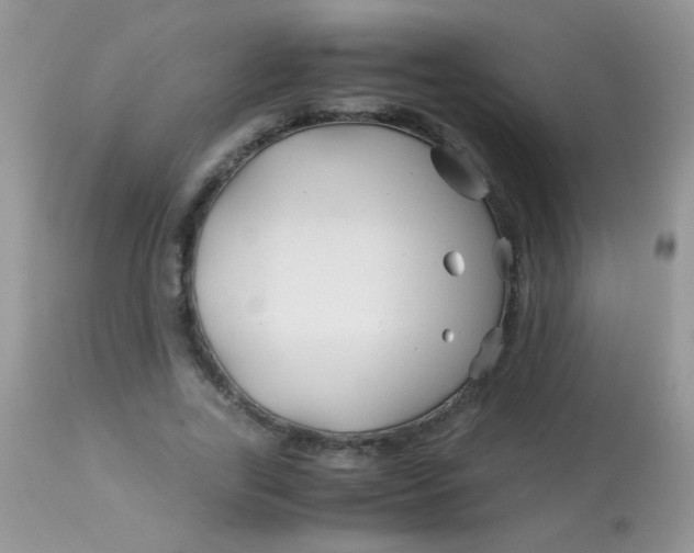 X0000113090731200909182113