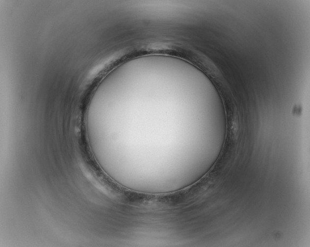 X0000113090732200909182113