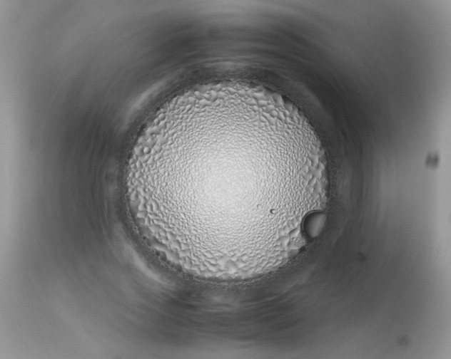 X0000113090733200909182113