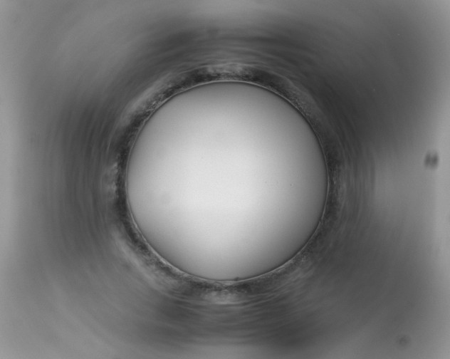 X0000113090735200909182113