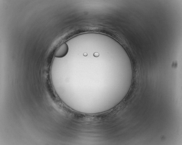 X0000113090736200909182113