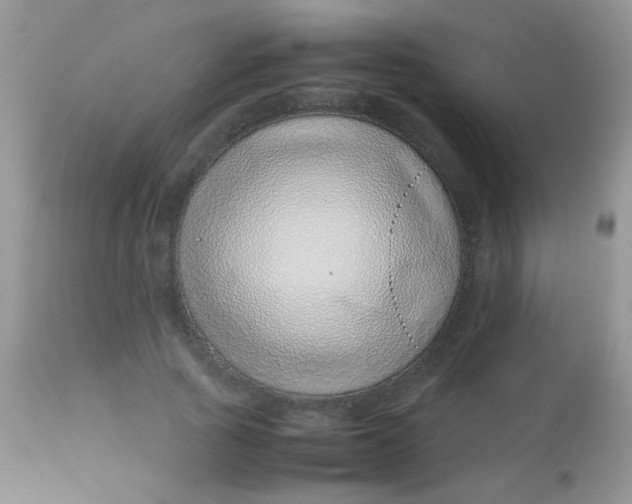 X0000113090737200909182113