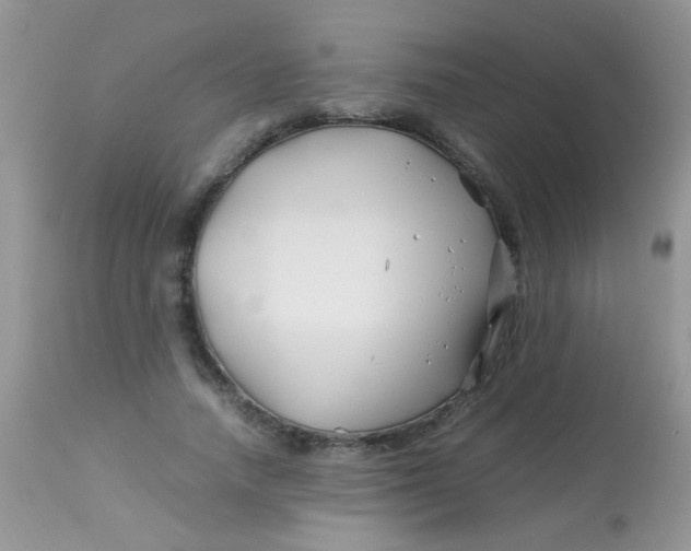 X0000113090738200909182113