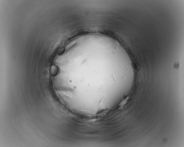 X0000113090739200909182113